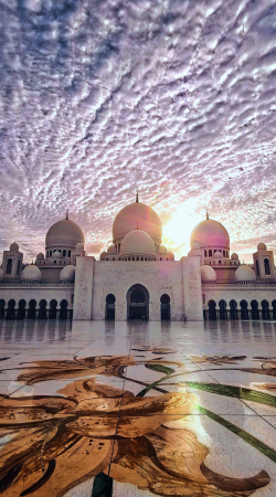 Zoho Partner in Abu Dhabi