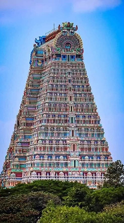 Zoho Partner in Trichy