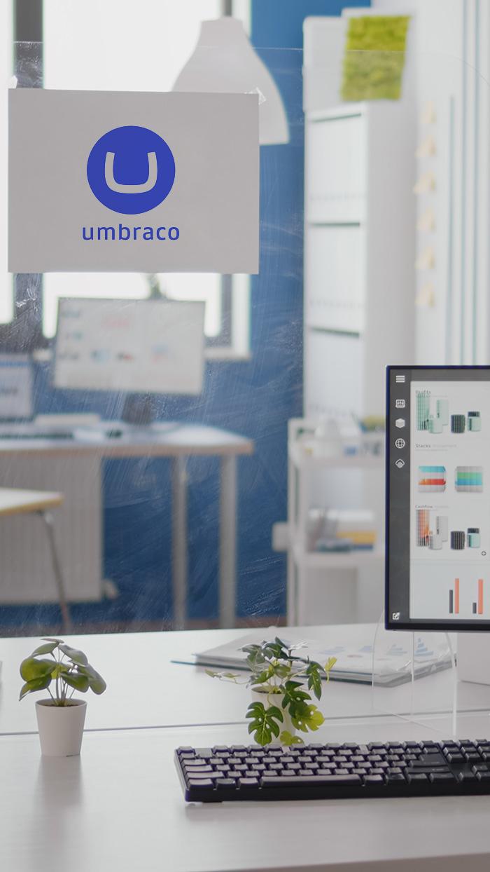 Umbraco CMS